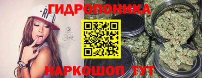 гашик Гусиноозёрск
