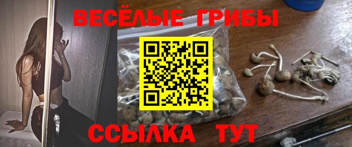 цена наркотик  Вход с VPN  Нижневартовск  Галлюциногенные грибы мицелий 